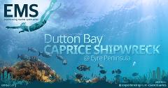 Snorkel Caprice Shipwreck and Mt Dutton Bay Jetty on Eyre Peninsula  - 16th January
