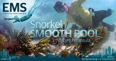 Snorkel Smooth Pool near Streaky Bay on Eyre Peninsula - 18th January