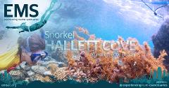 International Day of People with Disability – Accessible Snorkelling Tour of Second Valley (relocated from Hallett Cove)