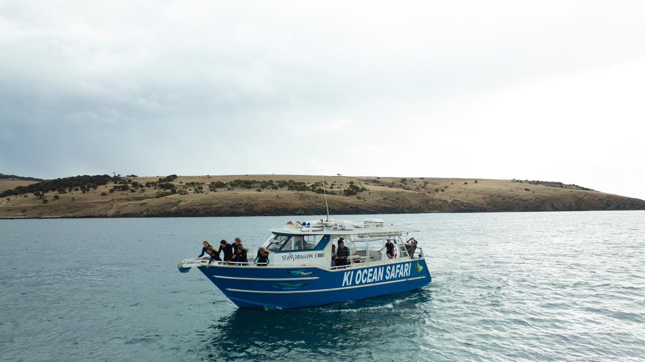 KI Dive Expedition - Explore the Underwater Wilderness of Kangaroo Island - 8th and 9th October.
