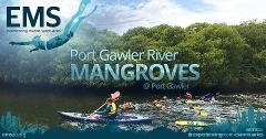 Magical Mangrove Snorkel Tour to Celebrate Park of the Month - 5th November 2023
