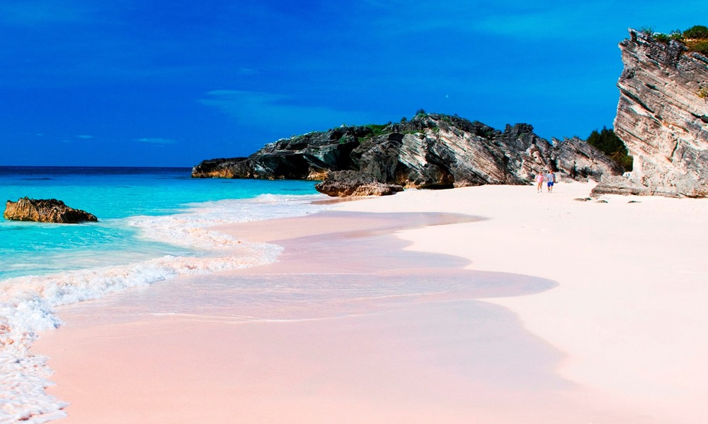 Pink Sands Escape - Private Charter