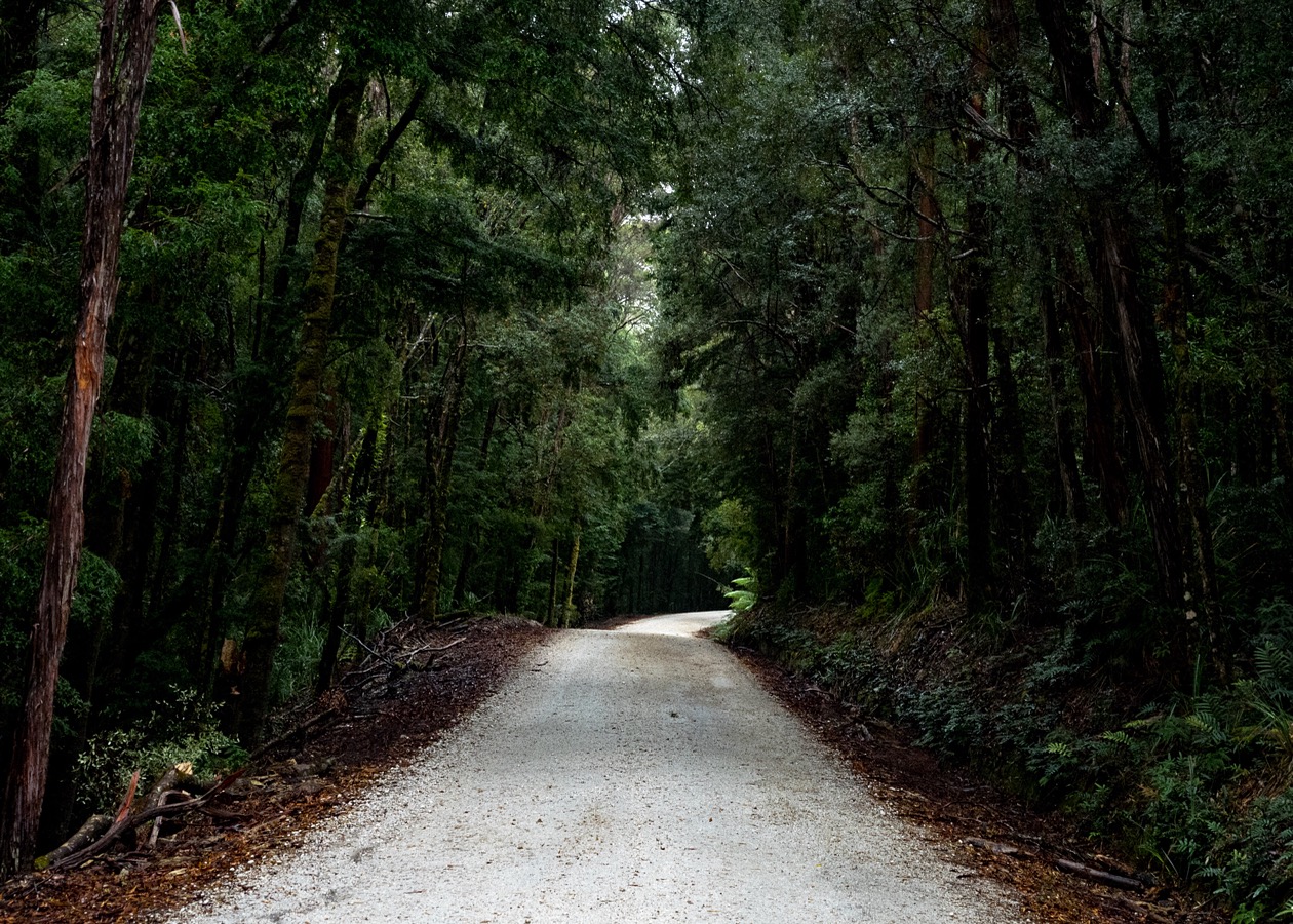 West Coast Gravel Tour
