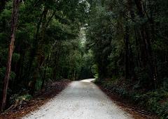 West Coast Gravel Tour