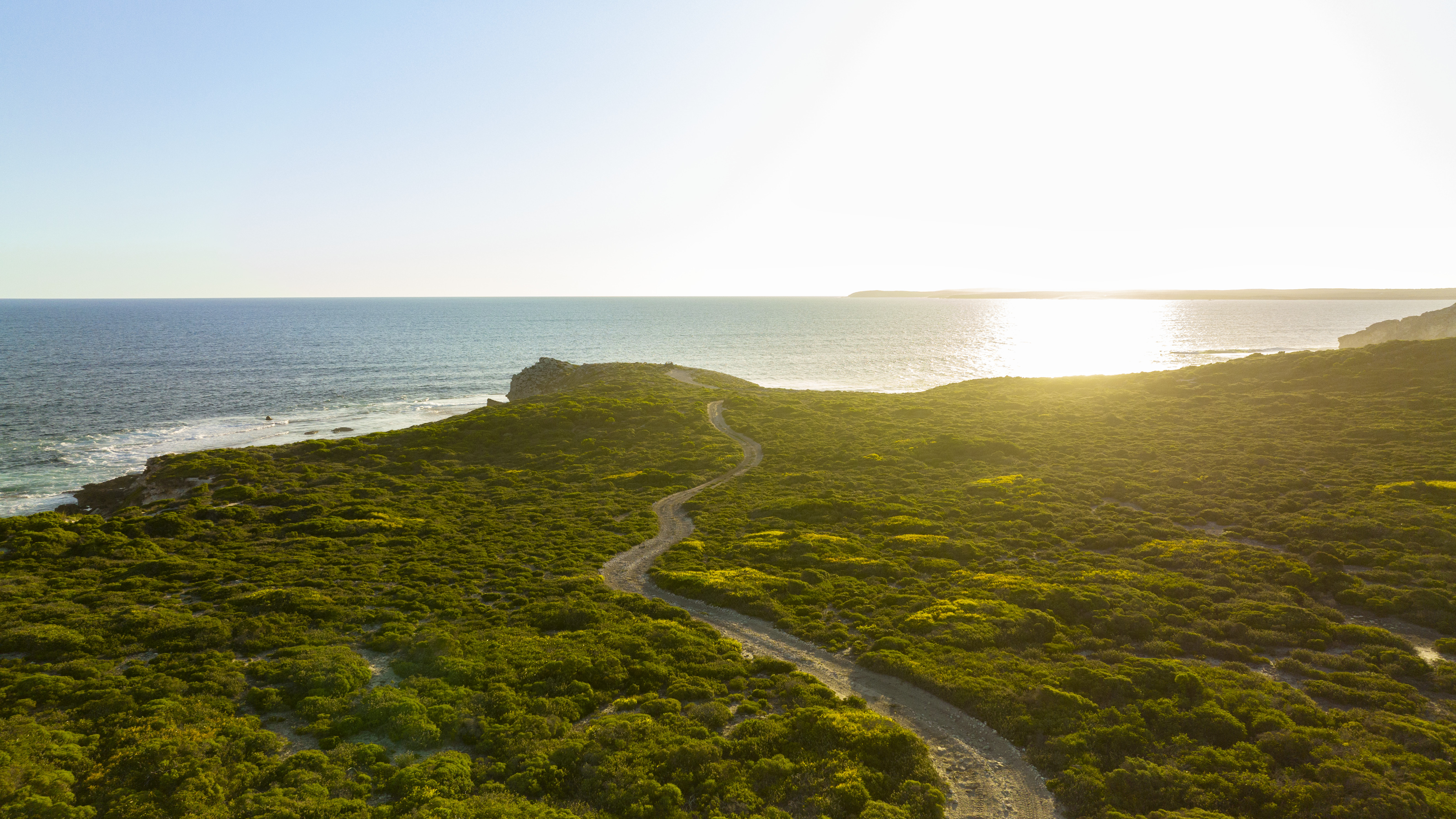 Ultimate Buggy Adventure (170 minutes)