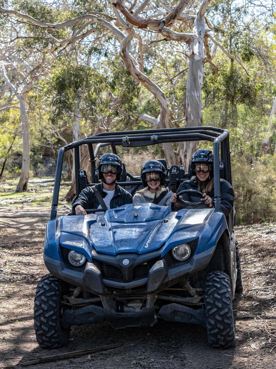 Little Sahara Buggy Tour (50 Minutes)