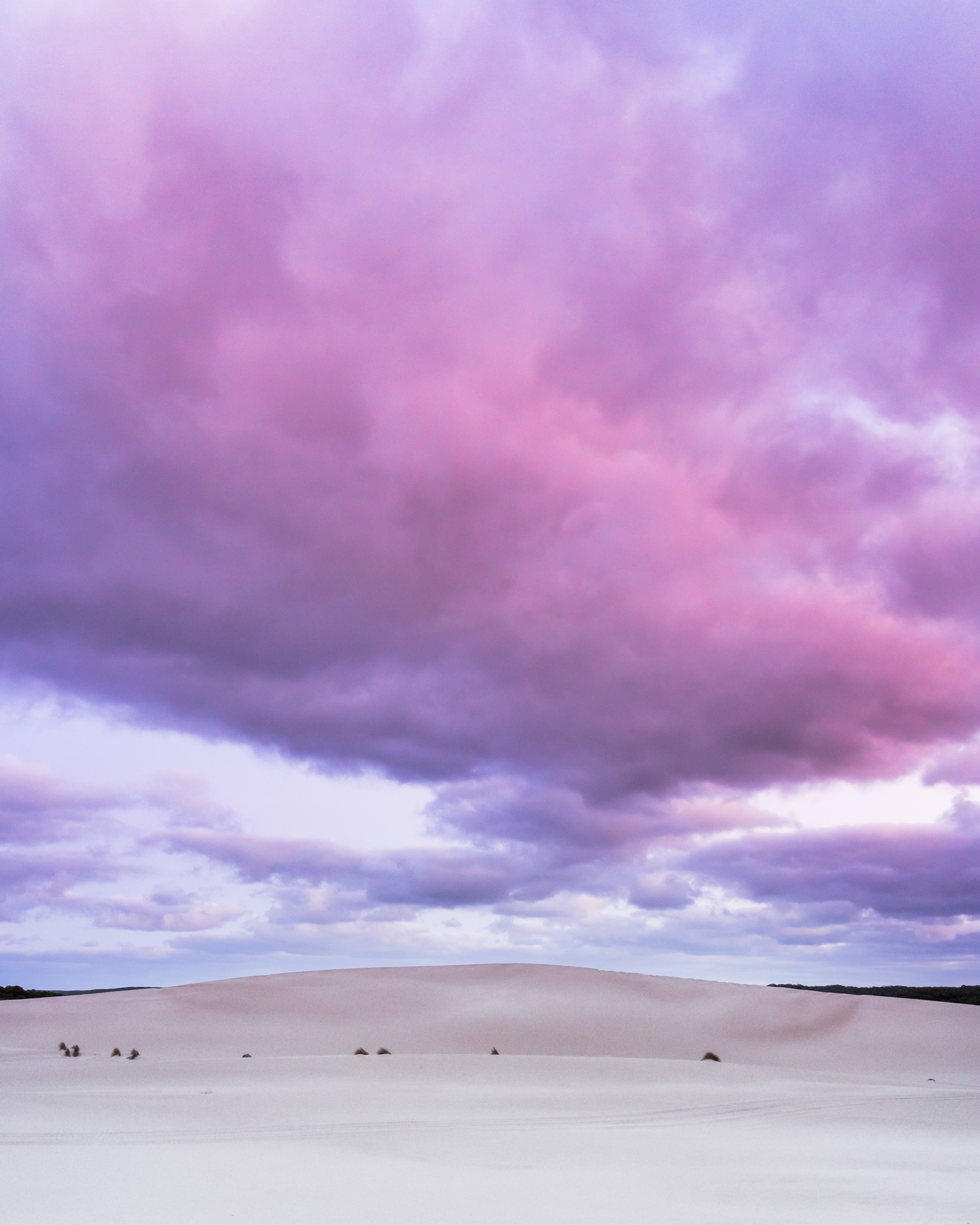 After Hours Electric Fatbike Tour