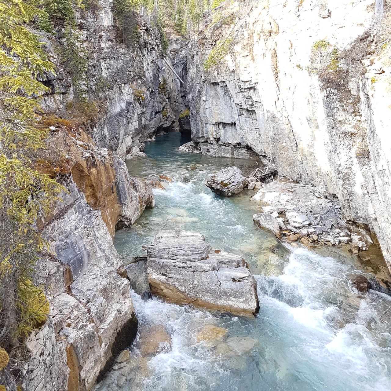 YPO MARBLE & JOHNSTON CANYON COMBO GUIDED WALK