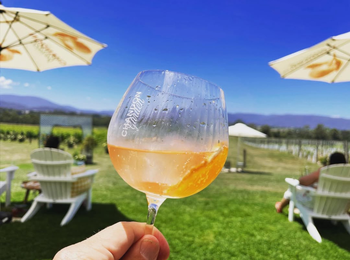 Yarra Valley Winery Tour with Wine, Bubbles and Cheese