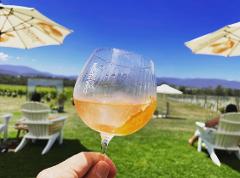 Yarra Valley Winery Tour with Champagne Lunch