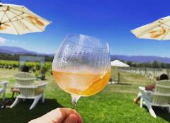 Yarra Valley Afternoon tour with Chandon Cheese Chocolates and Kangaroos 