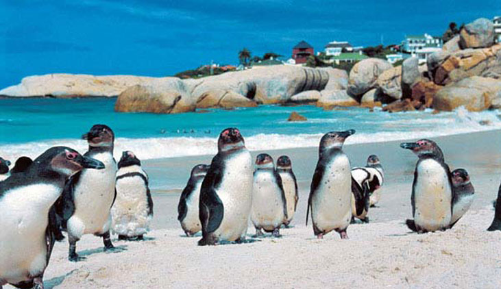 CAPE PENINSULA DAY TOUR ITINERARY