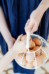 All about Eggs: Breakfast or Brunch  SCHOOL HOLIDAYS