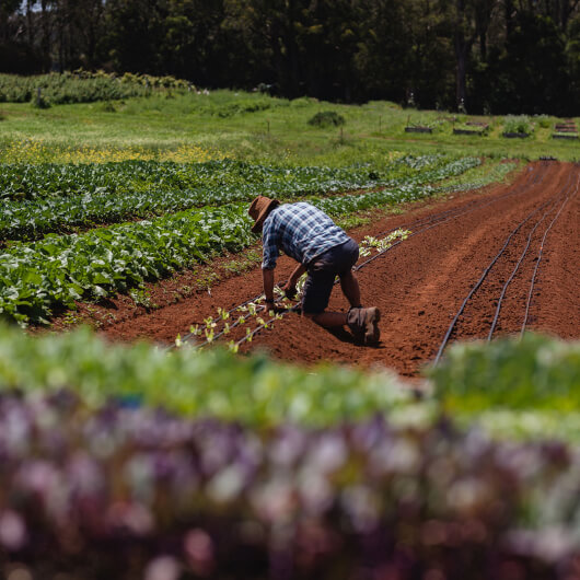 Farm Tour - Moonacres Autumn Experience 15 April 2025