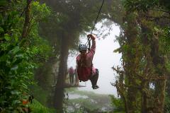 Canopy Tour w/ Tarzan Swing in Monteverde