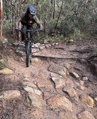 Red Hill - Level 3 Junior Course - Shredders
