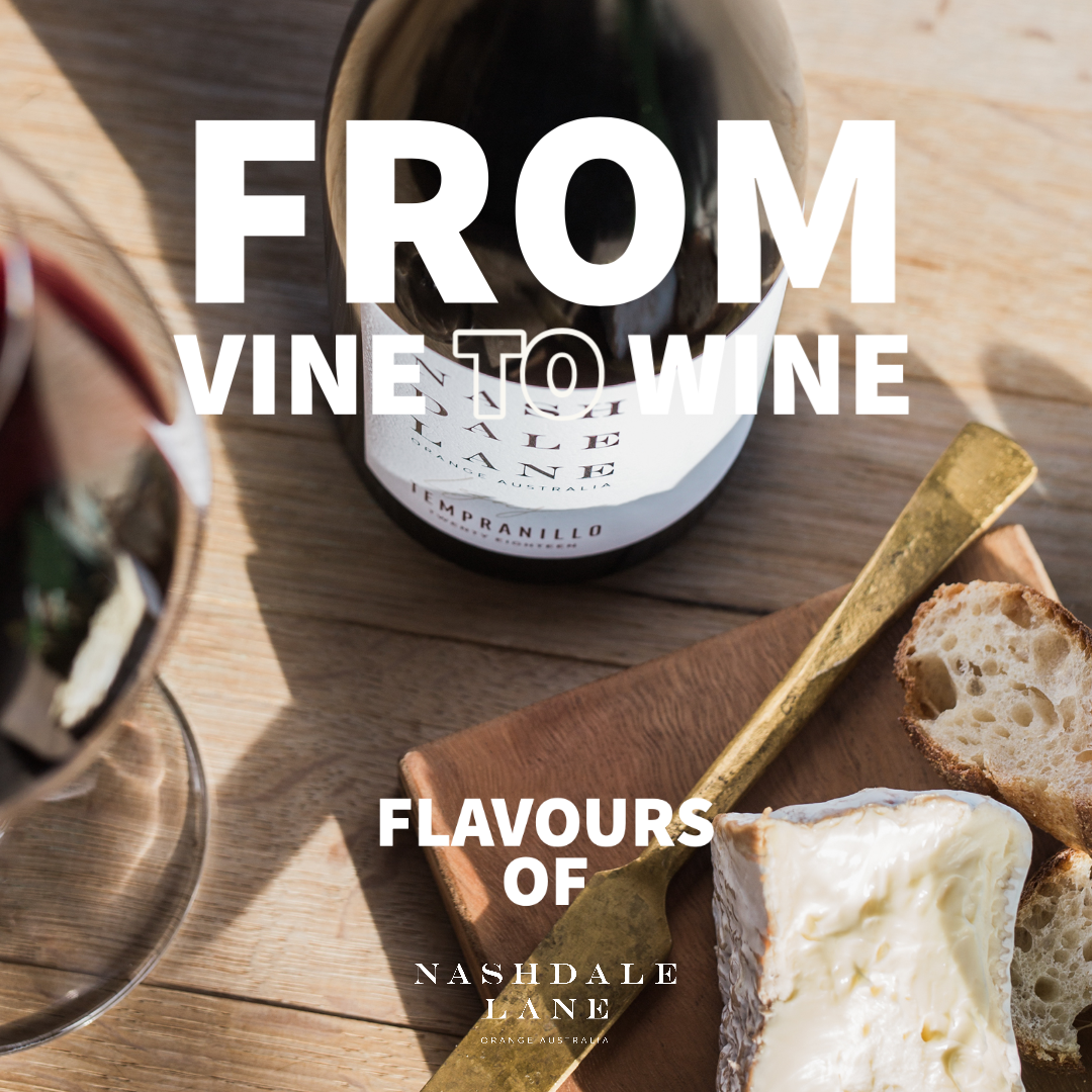 From Vine to Wine : Flavours of Nashdale Lane Wine Festival Event