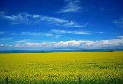 Qinghai Lake Adventure, 4 nights/ 5 days