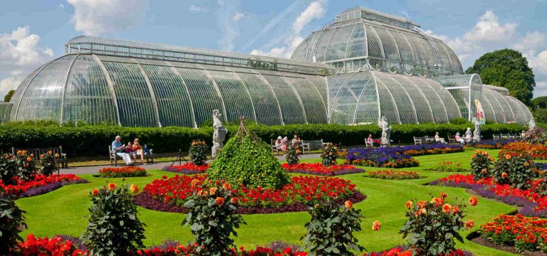 Visit Kew Gardens & 3 Hour Westminster Walking Tour