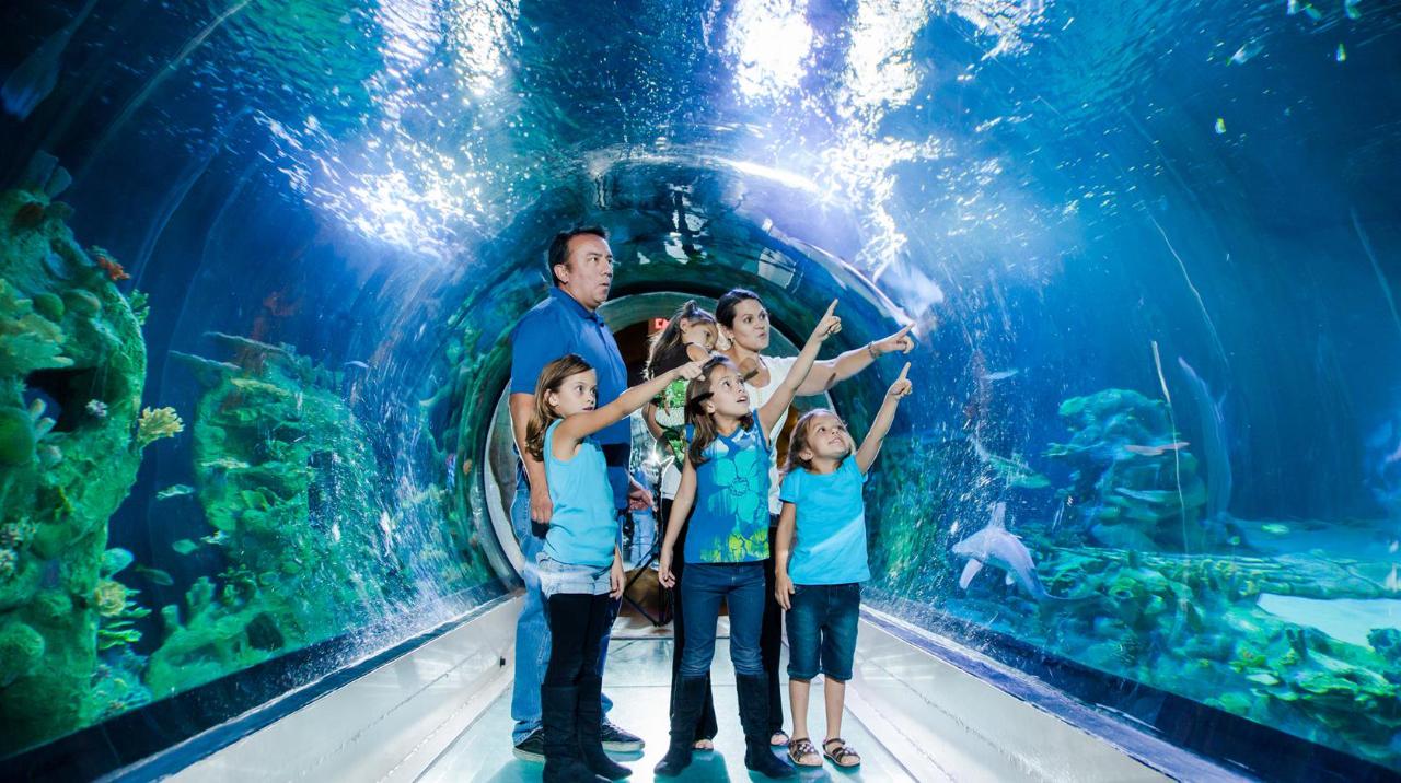 Visit The Sea Life Aquarium & See 30+ London Top Sights - Top Sights