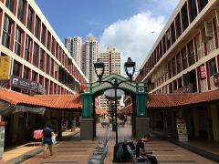 Beginner Guide to Singapore Culture, Food & Transport Tour