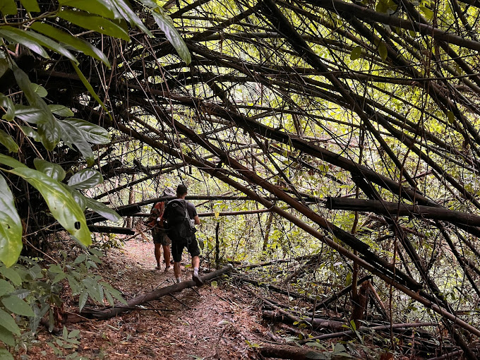 Chiang Mai Trekking Day Trip