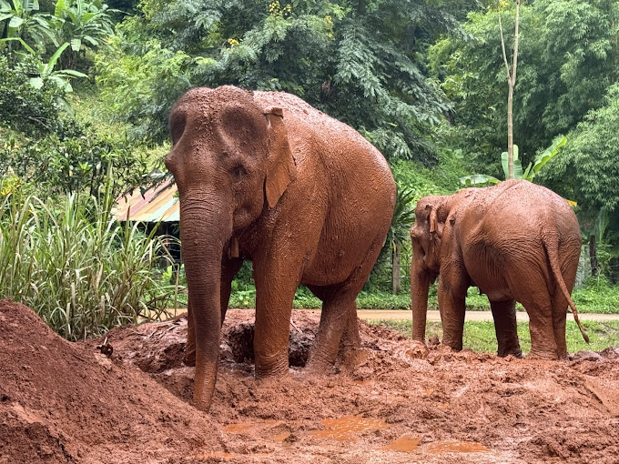 Chiang Mai Trekking 3 Days 2 Nights