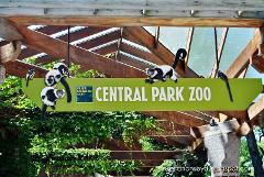 Visit Central Park Zoo & 30+ Top Sights Walking Tour