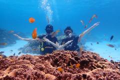 One Day Scuba Diving Experience at Racha & Coral Reefs with Picture and Video