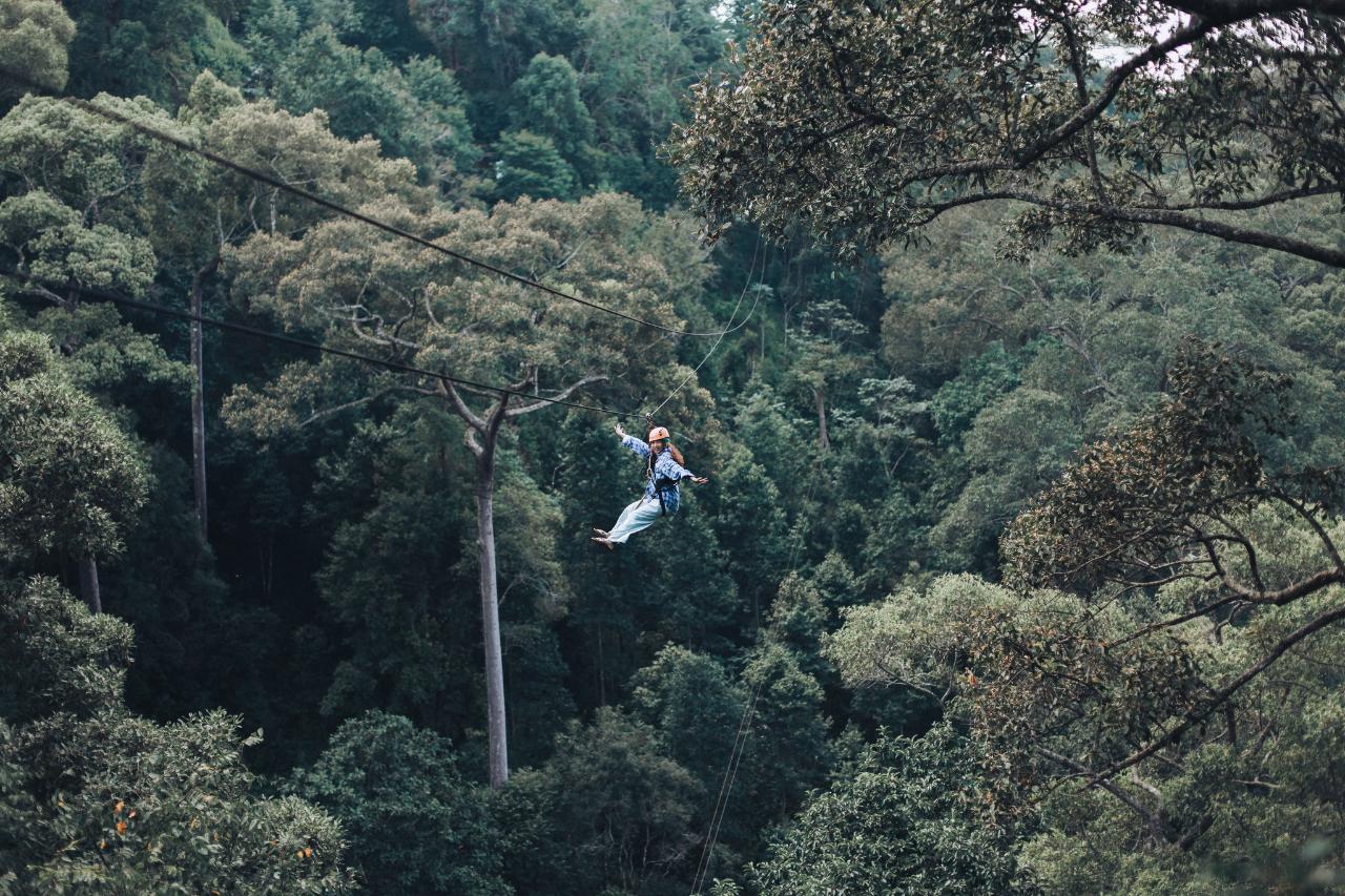 Jungle Flight Chiangmai