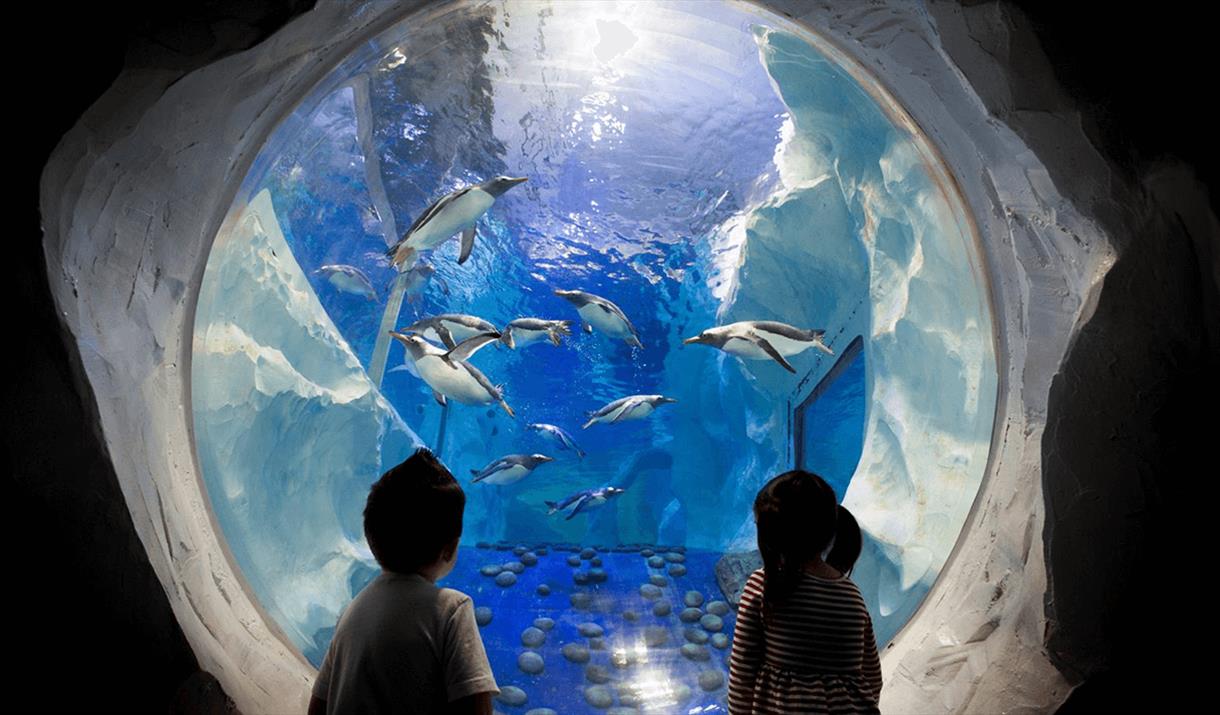 Visit The Sea Life Aquarium & See 30+ London Top Sights