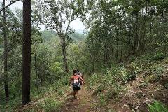 Chiang Mai Trekking 2 Days 1 Night