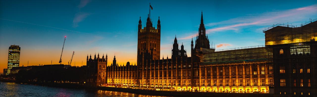 Houses of Parliament (Westminster) Tour