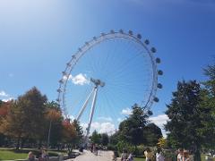 London Sightseeing Taxi Tour & London Eye Entry