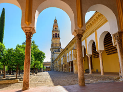 Best of Córdoba: Mosque-Cathedral, Jewish Quarter and Alcazar of the Christian Kings