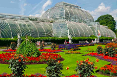 Visit Kew Gardens & 3 Hour Westminster Private Walking Tour