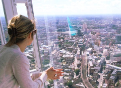The Shard Viewing Gallery & Westminster Private Walking Tour