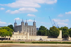 Westminster Private Walking Tour & Visit The Tower of London