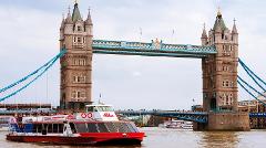 Thames River Cruise & Westminster 3-Hour Private Tour
