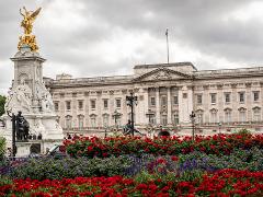 Full Royal Tour: Royal London & Buckingham Palace Tour