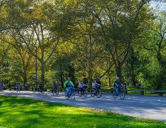 Complete Manhattan 5h Walking Tour & Cycle Central Park