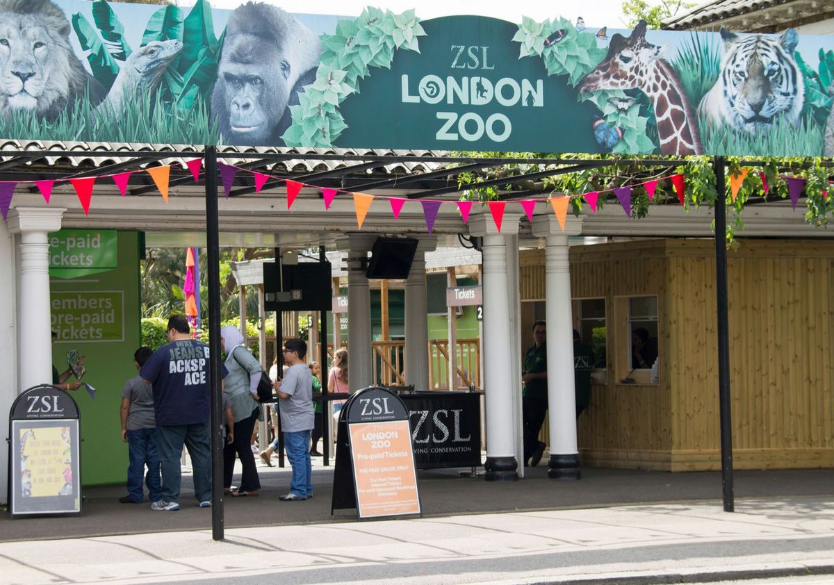 London Zoo Entrance Ticket