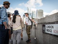 Southbank Tour Castles & Bridges : 15+ Top Sights  (Private Tour)