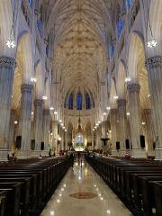 St Patrick's Cathedral Tour & 3h Manhattan Walking Tour