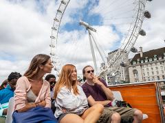 Westminster Walking Tour & London Eye Ticket 