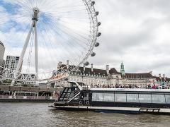 Deluxe Private Westminster Tour with River Cruise & Tower of London