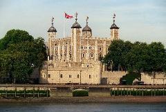 Private London 50+ Sights Taxi Tour & Tower of London Entry