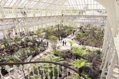 Visit Kew Gardens & 3 Hour Westminster Walking Tour