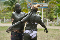 Nadi Heritage Add Mud Pool- ex-Coral coast Hotels Marriott- Shangri la