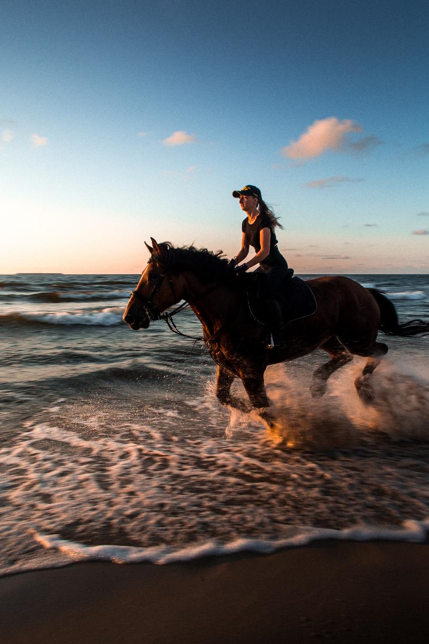 Horse Riding Tour Ex Nadi Hotels-Half Day Tour(30mins)